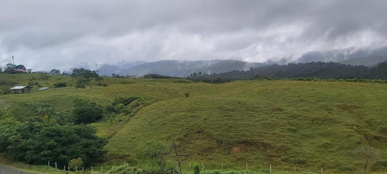 El Rincon De Las Flores Bajo Tigre Kültér fotó