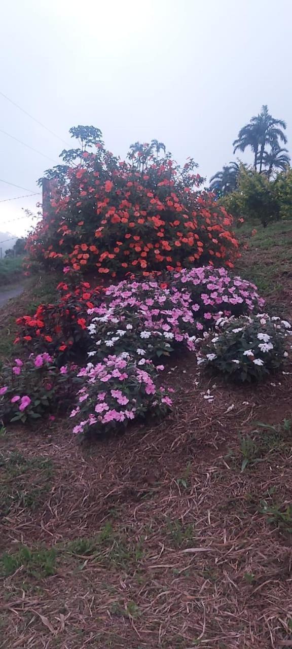 El Rincon De Las Flores Bajo Tigre Kültér fotó