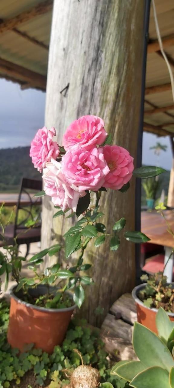 El Rincon De Las Flores Bajo Tigre Kültér fotó
