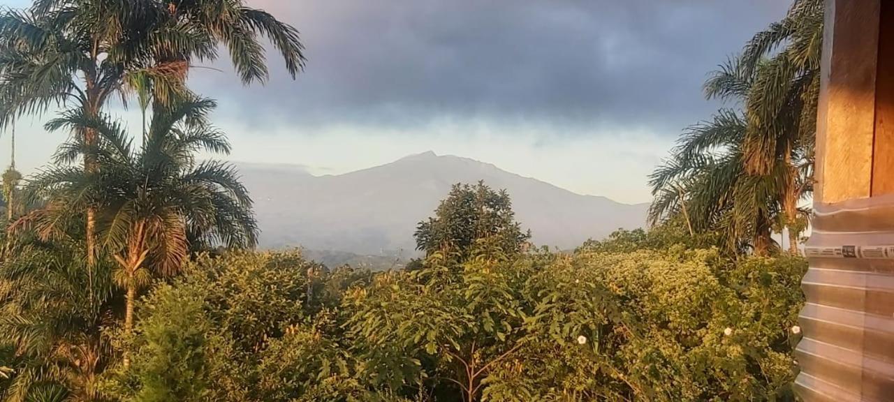 El Rincon De Las Flores Bajo Tigre Kültér fotó