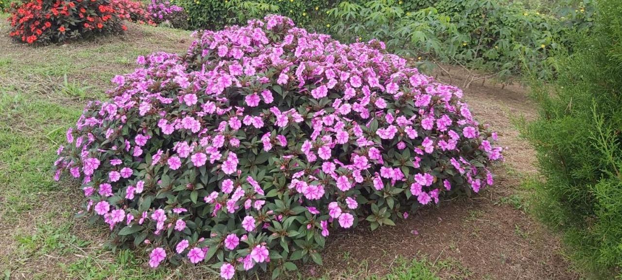 El Rincon De Las Flores Bajo Tigre Kültér fotó